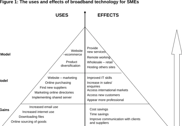 Figure 1: The uses and effects of broadband technology for SMEs 