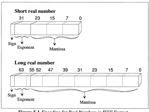 Figure 5-1 Encoding for Real Numbers in IEEE Format 