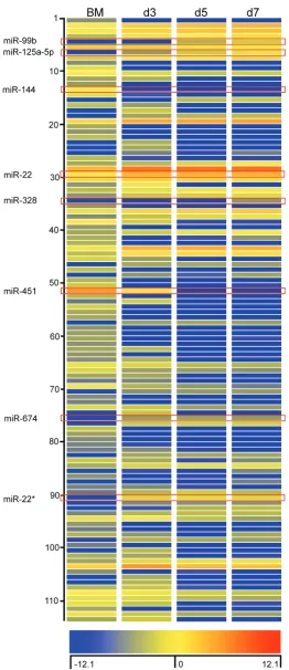 Figure 2: Characterization of miRNA expression during differentiation of BMDM. Heat map representation of expression levels of miRNA that were up-regulated or down-regulated by more than 5-fold