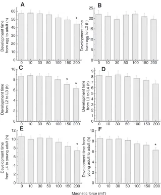 Table 1. Primer sequences for genes involved in development and aging