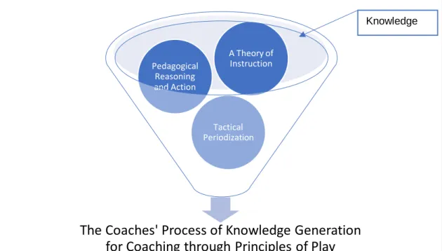 Figure 2.1: A visual representation of the conceptual framework underpinning this study