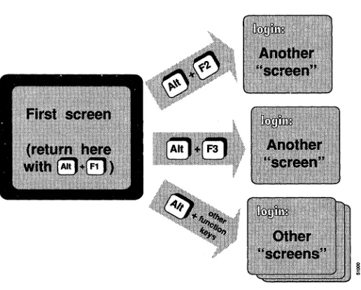 Figure 1-1 MultiScreen Example 