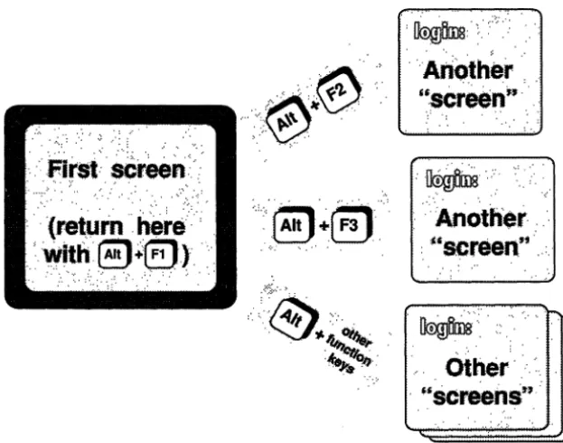 Figure 1·1 MultiScreen example 