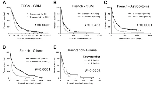 Figure 2: NFIB expression and copy number correlate with glioma patient survival. (A) GBM patients with higher NFIBexpression survive significantly longer than those with lower NFIB expression