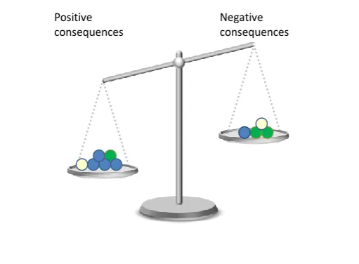 Figure 3: Photograph depicting the completed scales exercise (Site A) 