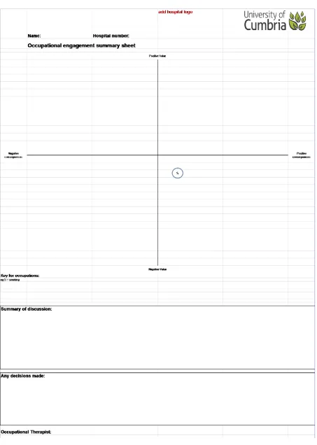 Figure 4: Interview summary sheet (Site B) 