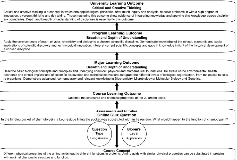 Figure 1. A learning outcomes framework. For each level, the example given relates to a question from an Introductory Biochemistry course