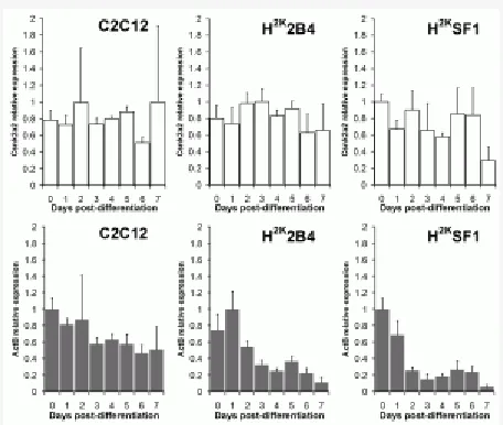 Fig. 5: Csnk2a2 vs ActB : raw expression dataFig. 5: Csnk2a2 vs ActB : raw expression dataFig