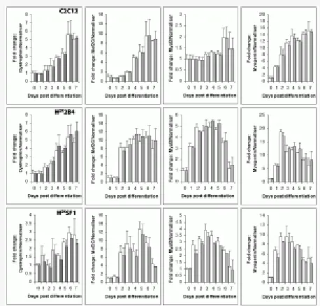 Fig. 3: Normalizing with Csnk2a2 alone vs Csnk2a2 and Ap3d1Fig. 3: Normalizing with Csnk2a2 alone vs Csnk2a2 and Ap3d1Fig