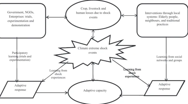 Figure 3.1. A framework showing farmers’ learning process to adapt to climate extreme