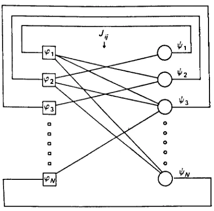 Figure 1.3: A multi-perceptron closed on itself to fonn an ANN [Amit89].