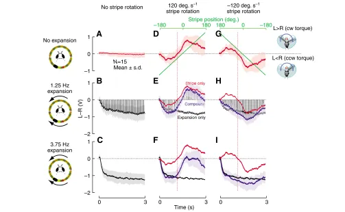 Fig. 3. The turning response to a compound stimulus depends on the strength and relative configuration of the expansion and object components