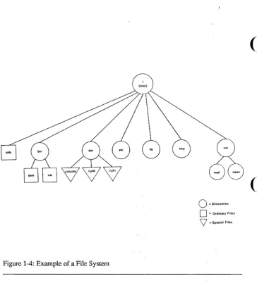 Figure 1-4: Example of a File System 