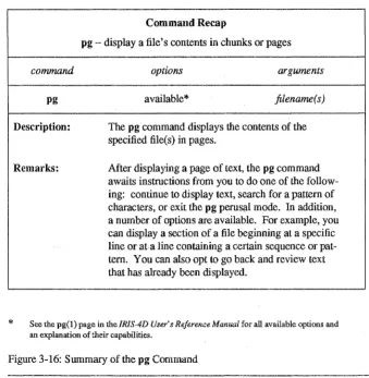 Figure 3-16: Summary of the pg Command 