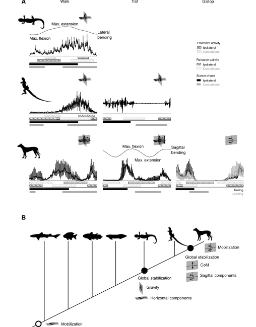 Fig. 4. For legend see next page.