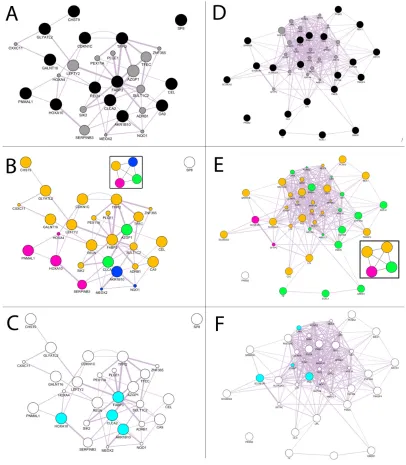 Figure 3: Computational analysis for increased and decreased genes. A. GeneMANIA networks of validated genes  B