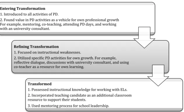 Figure 1 Schematic representation of the stages of PD participant transformation   