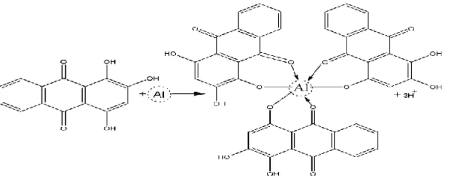 Fig. 4 Formation of coordinated complex between natural dye molecules and metallic mordant for dye  fixation on mordant textiles 