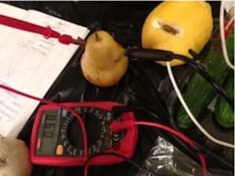 Fig. 3. Measuring EMF of diffrenet vegetation 