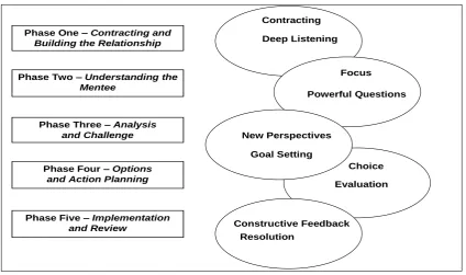 Figure 1: The developmental relationship mentoring (DRM) Model  