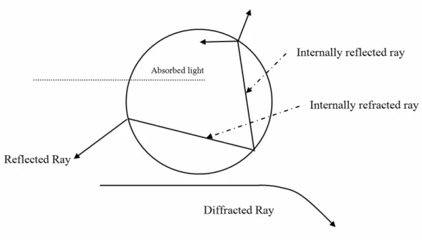 Figure 2.3  Interactions between particle and light beam (adapted from: Merkus, 2008) 