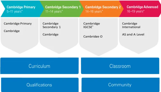 Figure 3. Flowchart describing the Cambridge International Examinations Programme. 