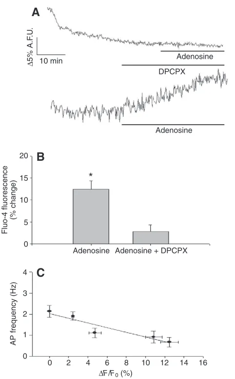 Fig. 4. Concentration–response curve for adenosine effect on AP frequency(normalized values as a percentage of control)