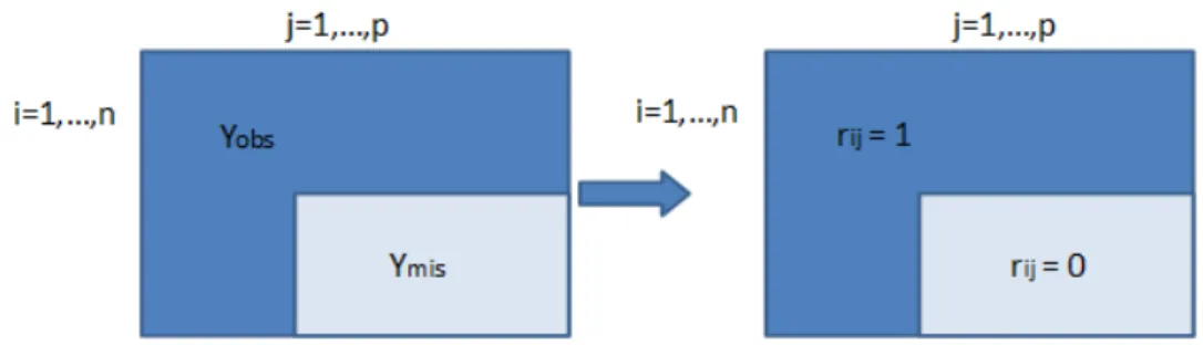 Figure 2.1: Matrices Y and R indicating observed and missing values