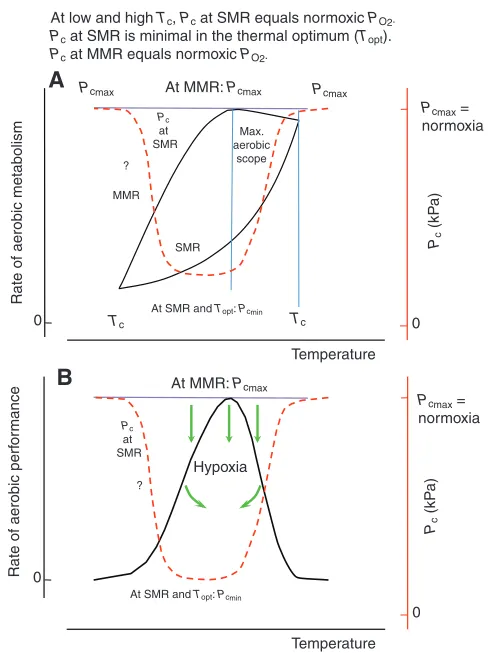 Fig. 7. Conceptual model of how ocean warming and hypoxia interactbased on the concept of oxygen- and capacity-limited thermal toleranceTPwaters) once the organism reaches its temperature-dependent maximummetabolic rate