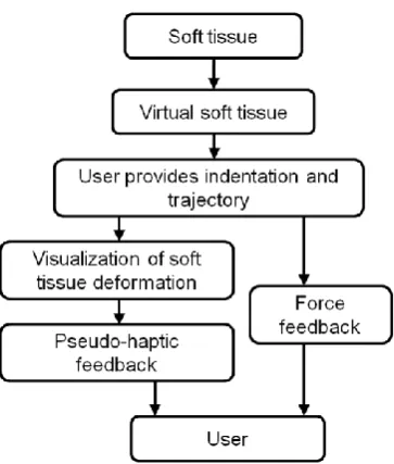 Fig. 1 The flowchart of the combined pseudo-haptic and force feedback for soft object interaction 