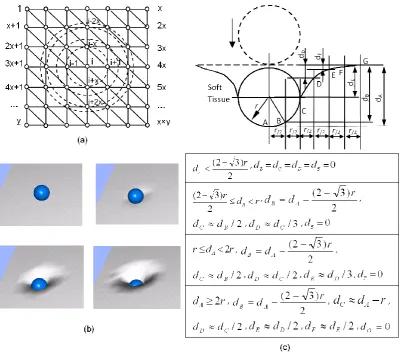 Fig. 3 (a) Mesh representation for the soft object deformation visualization: the number of the 