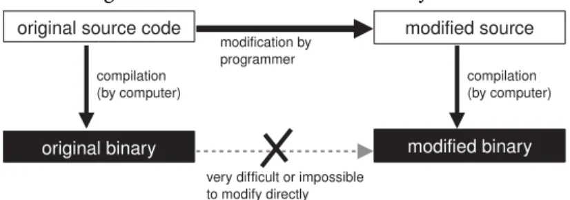 Figure 2: Source Code versus Binary Code