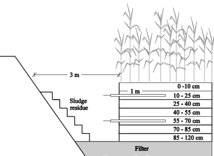 FIGURE 9. SECTION OF THE SLUDGE RESIDUE SHOWING THE DEPTH OF SLUDGE RESIDUE  AND THE SAMPLING POINTS 
