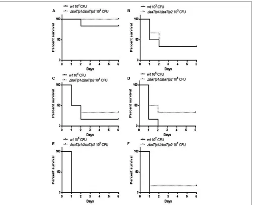 FIGURE 8 | Kaplan–Meier survival curves for groups of mice infectedwith different CFU of either wild-type or ∆saTlp1/∆saTlp2 ST398S