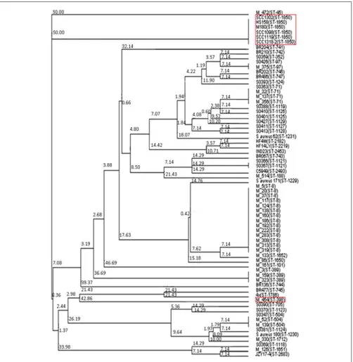 FIGURE 2 | Neighbor joining tree of S. aureus isolates. Strains fallingunder “Bovine Mastitis” disease classiﬁcation on MLST.net and ST398and ST1850
