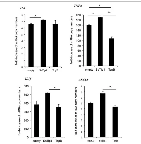FIGURE 5 | Average fold increase of mRNA levels of thepro-inﬂammatory genes IL-1β, IL-6, TNF, CXCL8 in pbMECtransfected with the empty plasmid, or plasmids coding for TcpBand SaTlp1 and stimulated with 30 µg ml–1 heat-killed E