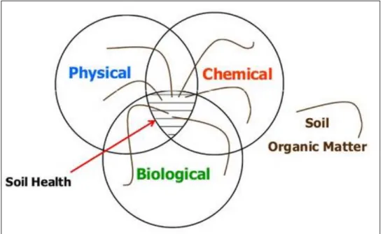Figure 2:  Components of soil health (Source: Diver, 2012)