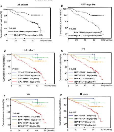 Figure 4: PTOV1 protein expression is associated with overall survival (OS) in the whole cohort A