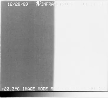 Figure 4-3(a)- Image of single video frame showing substantial random noise.