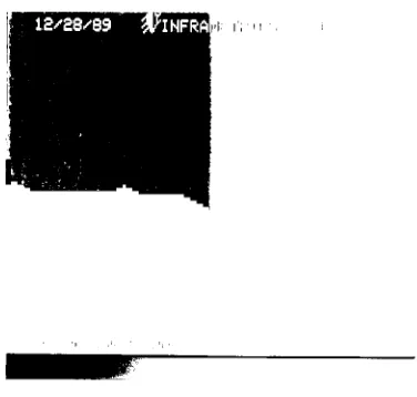 Figure 4-4(b)- Vertical MTF of the Inframetrics / Werner Frei viewing system.