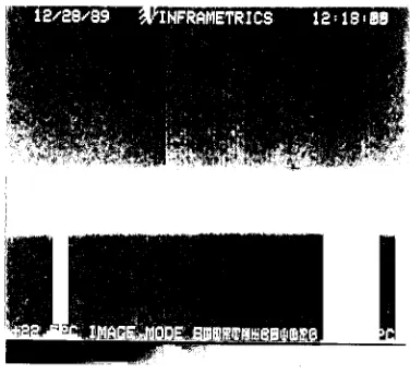 Figure 4-5(b)- Horizontal MTF of the Inframetrics / Werner Frei viewing system.
