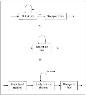 Figure 2.1: Typical approaches to face recognition 