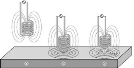 Figure 1: Showing induced EC and its effects [1] 