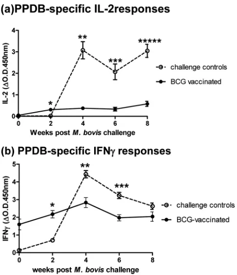 FIG 3 IL-2 (a) and IFN-� (b) responses to PPDB following M. bovis challengeof BCG-vaccinated and unvaccinated animals (experiment 1)