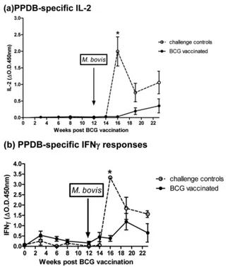 FIG 4 IL-2 (a) and IFN-� (b) responses to PPDB following BCG vaccination and then challenge with M