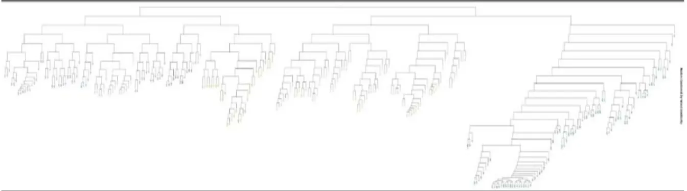 Figure 3. A cluster hierarchical structure 