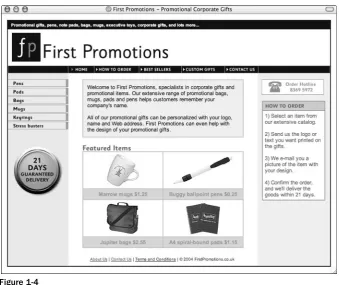 Figure 1-4You can see from Figure 1-4 that the home page has a header and some navigation items underneath the