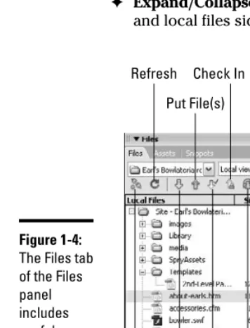 Figure 1-4:The Files tab