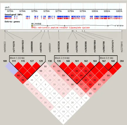 Figure 2: block structure of linkage disequilibrium for the tag sNPs in the natriuretic peptide receptor c gene region (NPr-c) on chromosome 5p13.3