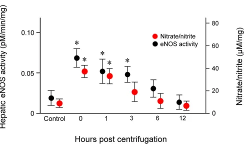 Figure 6: Effects of exposure to hypergravity on the expression of eNOS enzymatic activity of and NO production